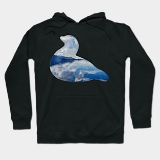 Cloud reflection bird sculpture Hoodie